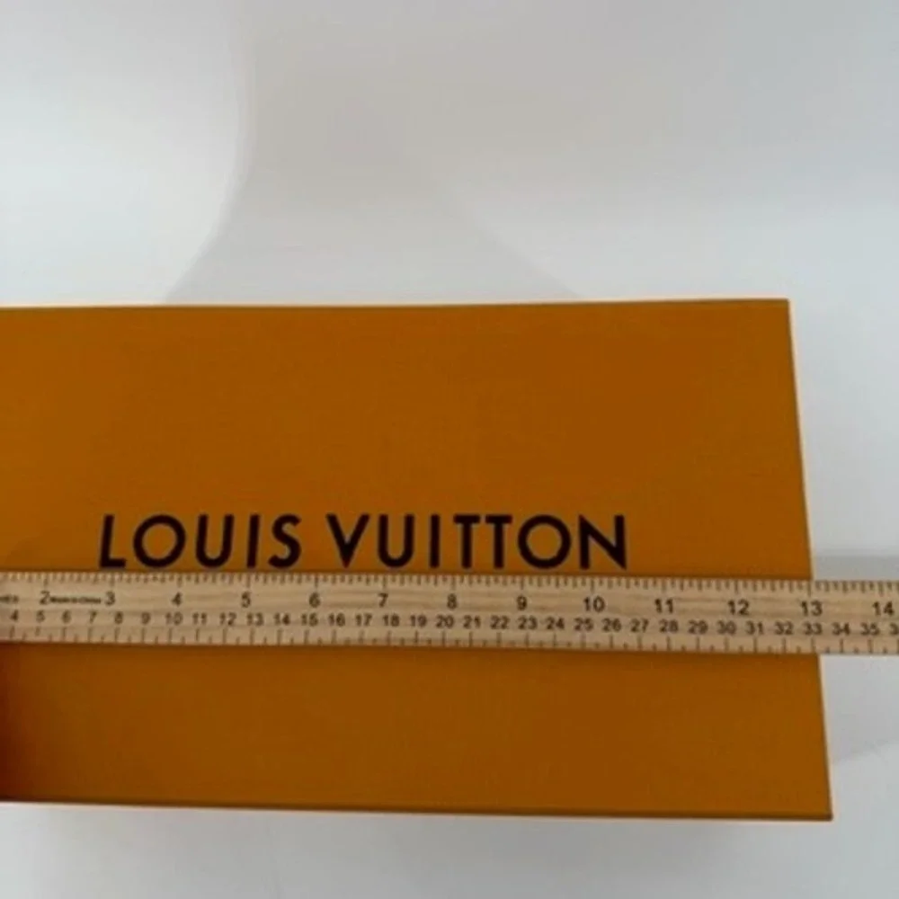 Louis Vuitton authentic louis